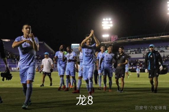 了解龙8